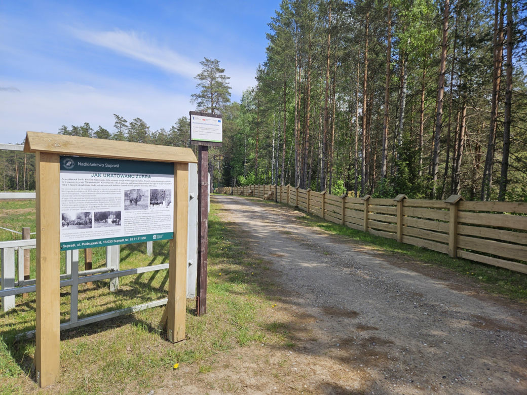 Kopna Góra