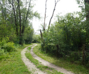 Teren Rekreacyjnych Ogródków Działkowych na Międzywalu Wisły