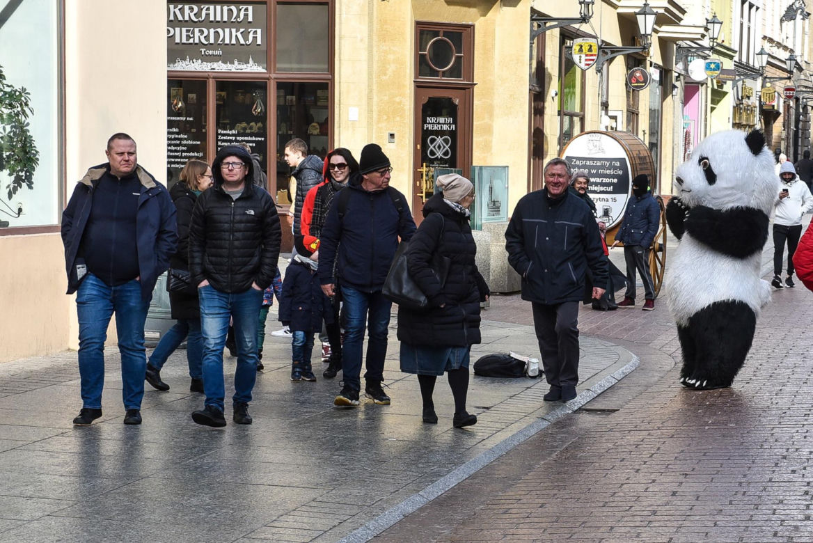 Zakopane ma Chytrego Misia, Toruń Wesołą Pandę, kulturalnie zaczepia turystów