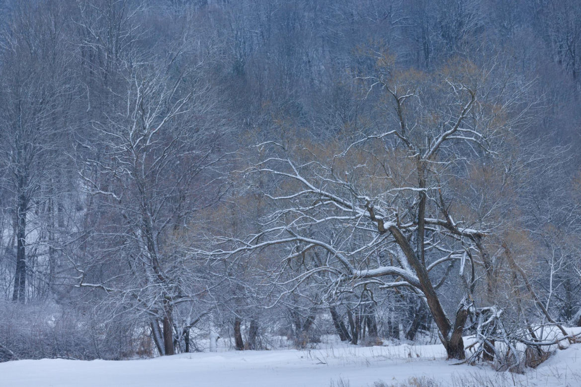 Beskid Niski
