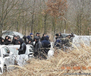 200 pseudokibiców miało wybrać się na grzyby. Chcieli zbierać je w rękawicach i kominiarkach! Zatrzymano 83 osoby