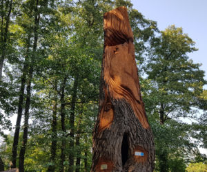Park Kępa Potocka z nowymi rzeźbami