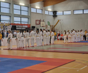 V Kyokushin Cup