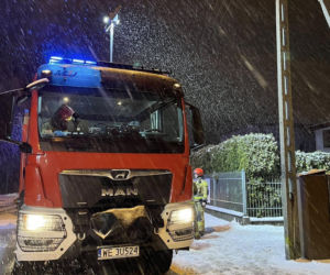 Pożar domu w Mińsku Mazowieckim, strażacy uratowali kota