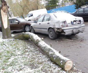 Śnieżyca, wichura w Warszawie