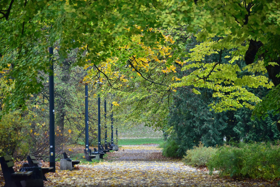 Park Praski