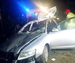 Groźny wypadek w Szymankach. Auto roztrzaskało się po zderzeniu z łosiem [ZDJĘCIA]