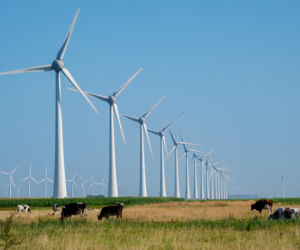 Wiatraki na emeryturze, czyli fakty i mity o demontażu turbin wiatrowych