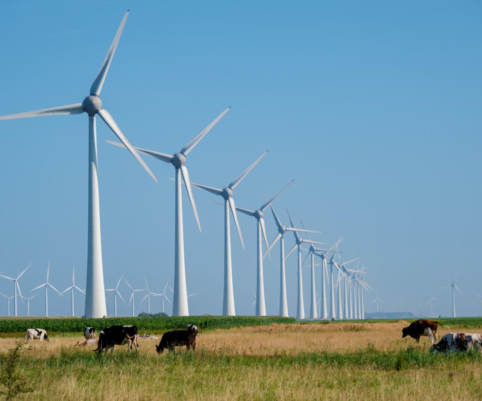 Turbiny wiatrowe