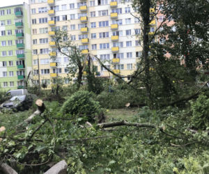 Jedną z dzielnic, któa ucierpiała najbardziej był Czechów Południowy