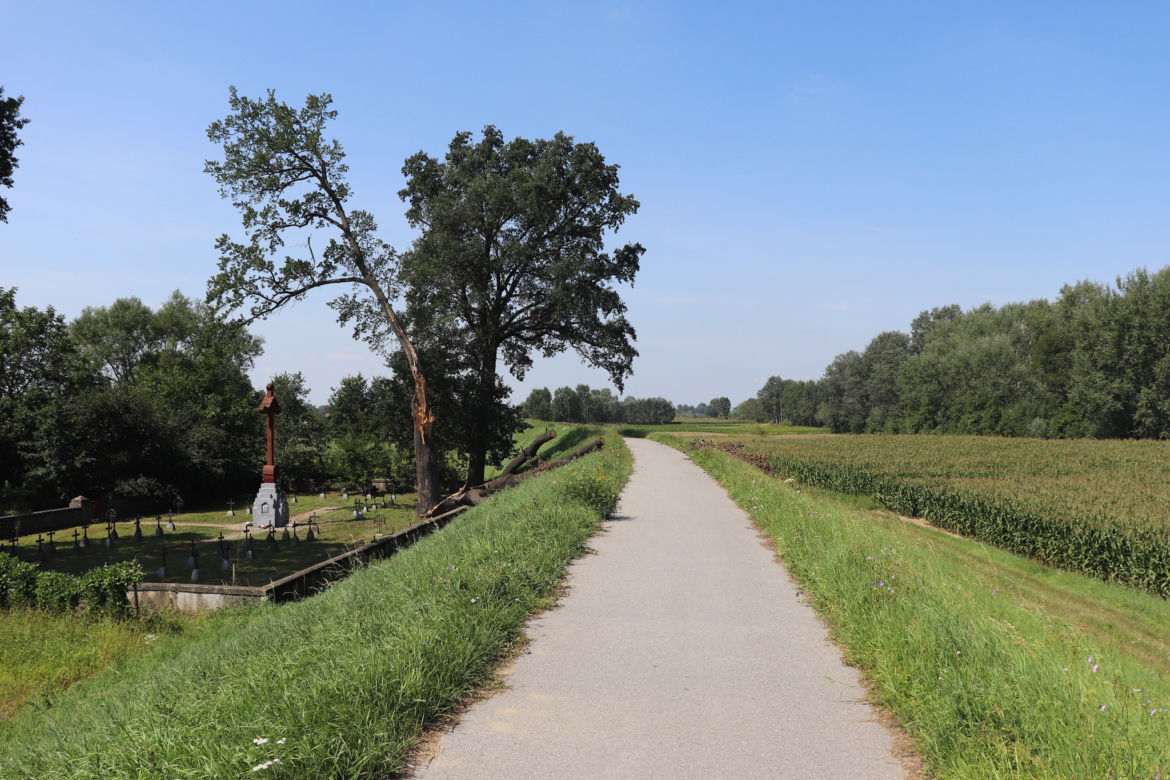 Trasa rowerowa VeloDunajec 