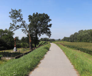 Ruszyła budowa brakującego odcinka Velo Dunajec. Powstanie połączenie z WTR