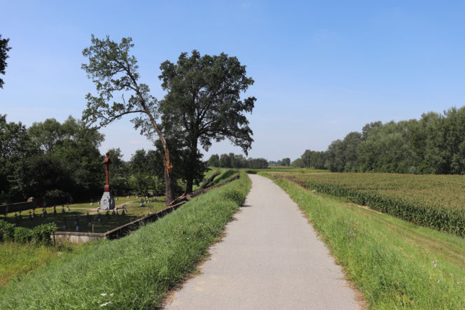 Trasa rowerowa VeloDunajec 