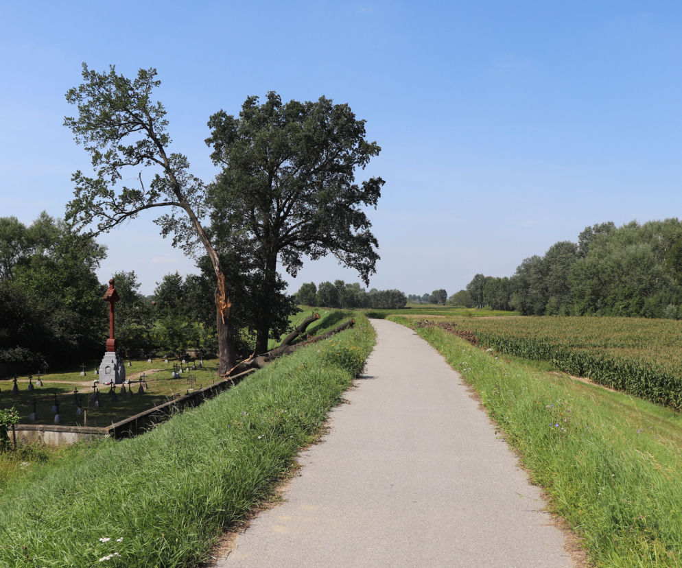 Asfaltowa ścieżka rowerowa na wale w otoczeniu zieleni i pól. O trasach rowerowych Velo przeczytasz na Eska Tarnów.