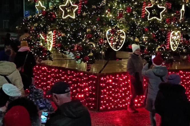 Choinka przed urzędem miasta w Szczecinie