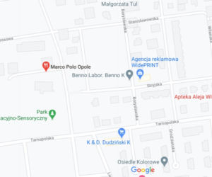 Opole. Gdzie zamówić jedzenie na dowóz? [LISTA]