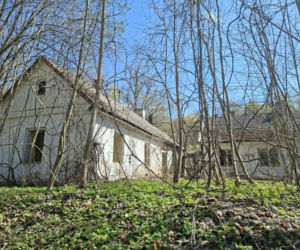 Odkryj Doły Biskupie – niezwykłe miejsce w województwie świętokrzyskim, gdzie historia Gombrowicza łączy się ze śladami prehistorycznych gadów i potęgą przemysłu.