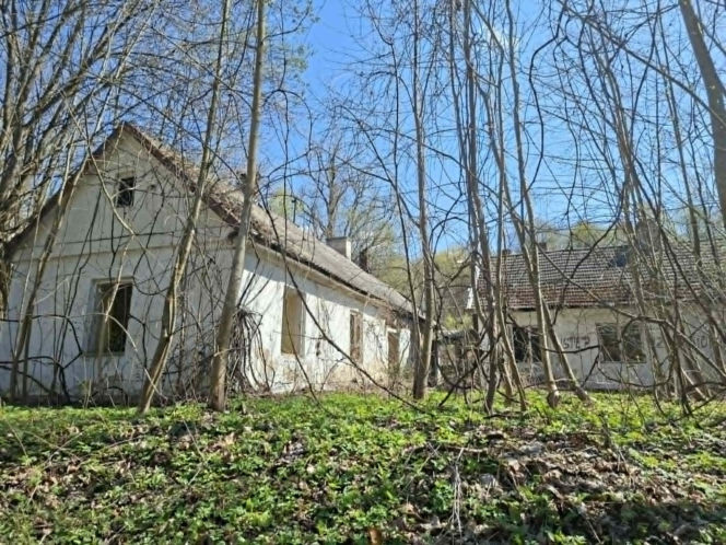 Odkryj Doły Biskupie – niezwykłe miejsce w województwie świętokrzyskim, gdzie historia Gombrowicza łączy się ze śladami prehistorycznych gadów i potęgą przemysłu.