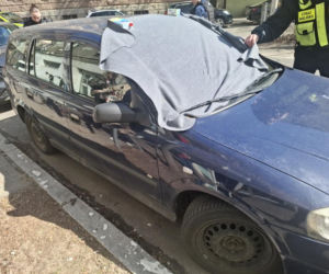 Pies konał w nagrzanym aucie. Cudem uratowano go przed śmiercią