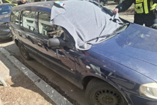 Pies konał w nagrzanym aucie. Cudem uratowano go przed śmiercią