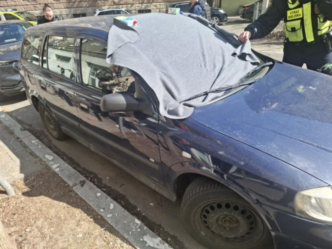 Pies konał w nagrzanym aucie. Cudem uratowano go przed śmiercią