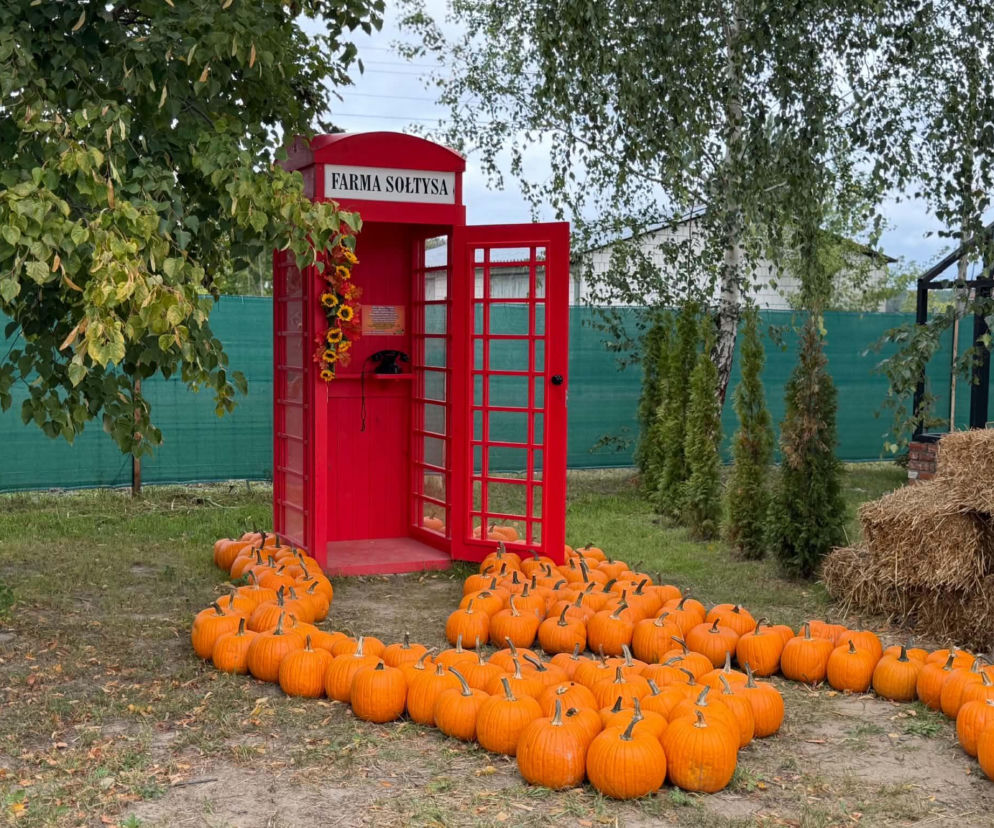 Słońce, dynie i mnóstwo zabawy. To może być hit rodzinnego weekendu w Świętokrzyskiem