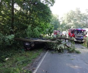 Dolny Śląsk: Samochód wypadł z drogi i dachował