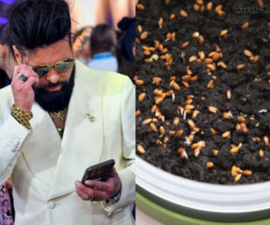 Rzeżuchy które wyglądają jak Krzysztof Rutkowski i jego legendarne fryzury