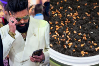 Rzeżuchy które wyglądają jak Krzysztof Rutkowski i jego legendarne fryzury