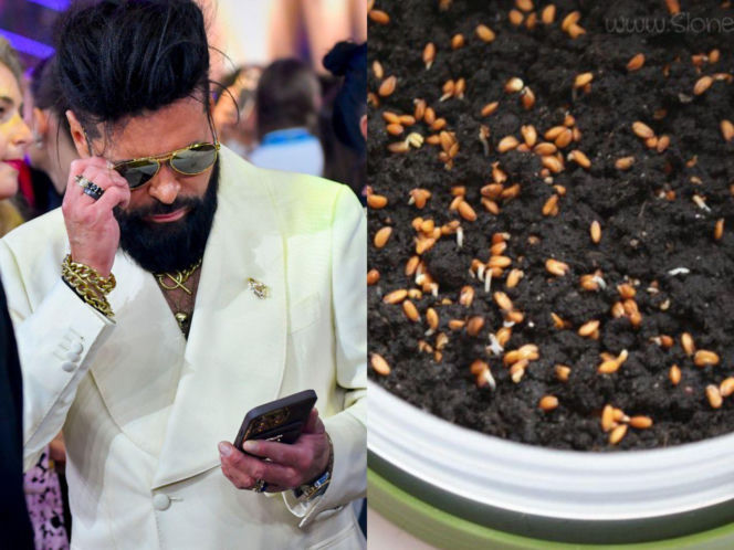 Rzeżuchy które wyglądają jak Krzysztof Rutkowski i jego legendarne fryzury