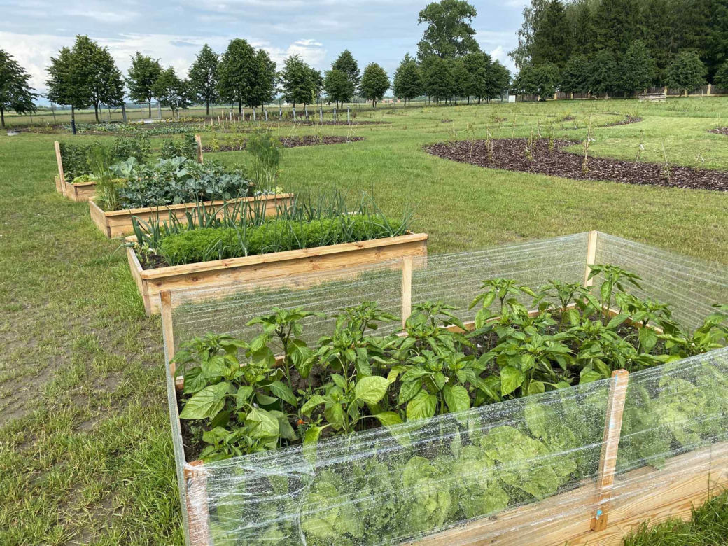 Wyjątkowe miejsce w Wólce Konopnej. Farma toMy dla osób z niepełnosprawnością