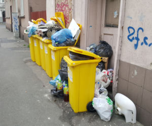 Bydgoszczanie mają już dość! Wciąż toną w śmieciach!