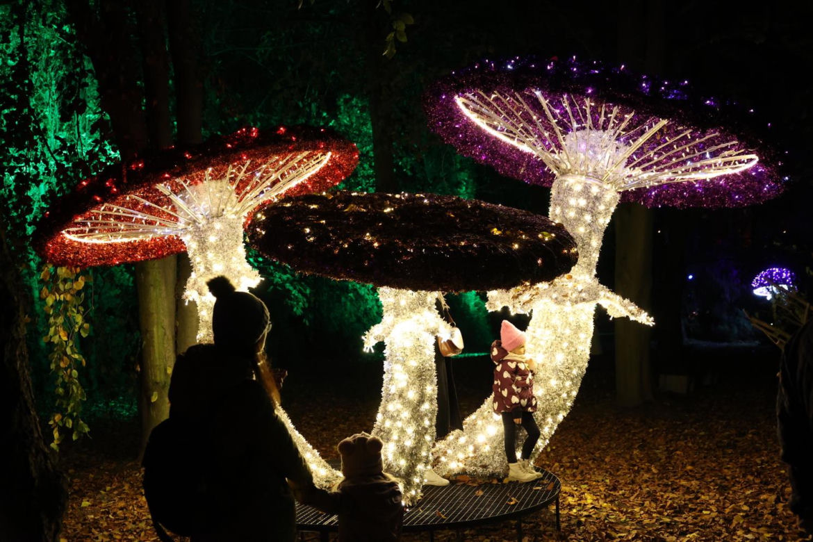 Park iluminacji 2023 w Lublinie