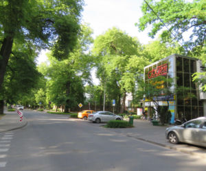 Podwarszawskie Trójmiasto Ogrodów - Podkowa Leśna