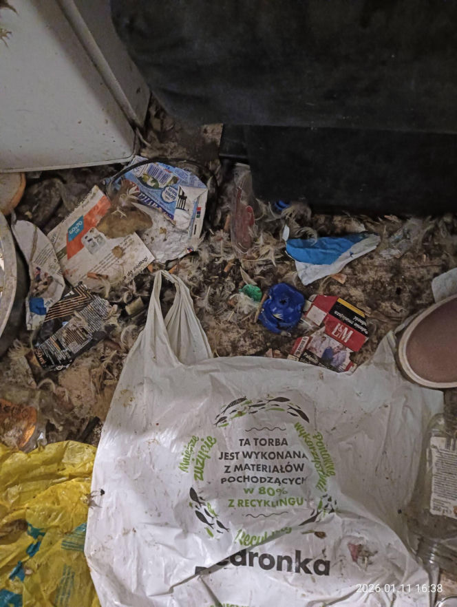 Interwencja inspektorów TOZ z Katowic w Sosnowcu