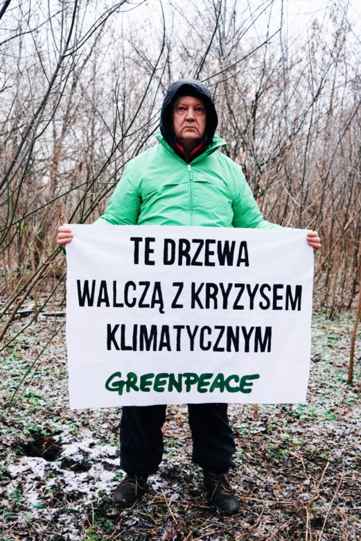 Aktywiści Greenpeace bronią drzew nad Wisłą