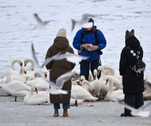 Zamarznięty Bałtyk