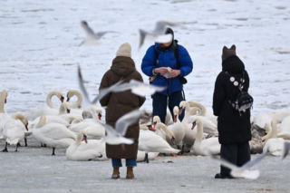 Zamarznięty Bałtyk