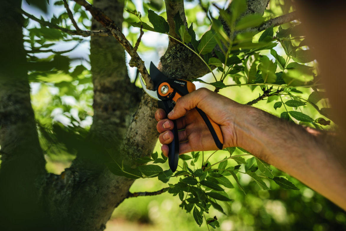 Sekatory Fiskars