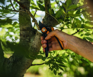 Sekatory Fiskars