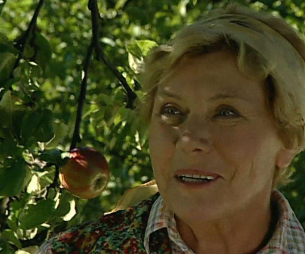 Pamiętasz pierwszy odcinek „M jak miłość”? Tak wszystko się zaczęło