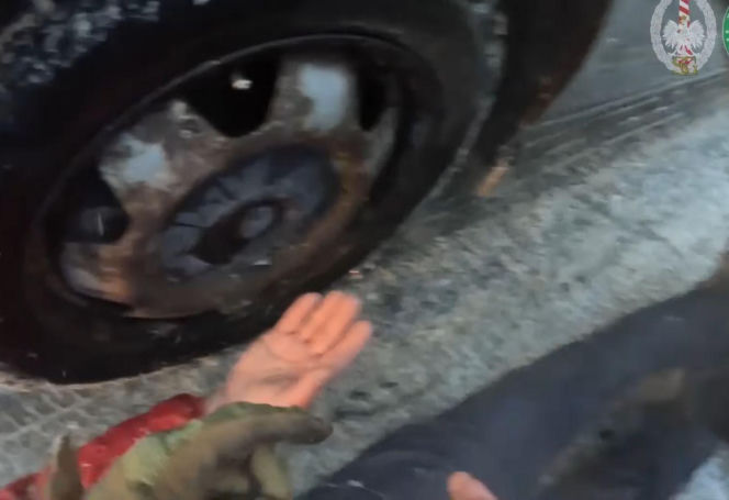 Straż Graniczna weszła jednocześnie do 17 lokali w Pomorskiem, a podczas pościgu ulicami Gdańska padły strzały w opony uciekających aut