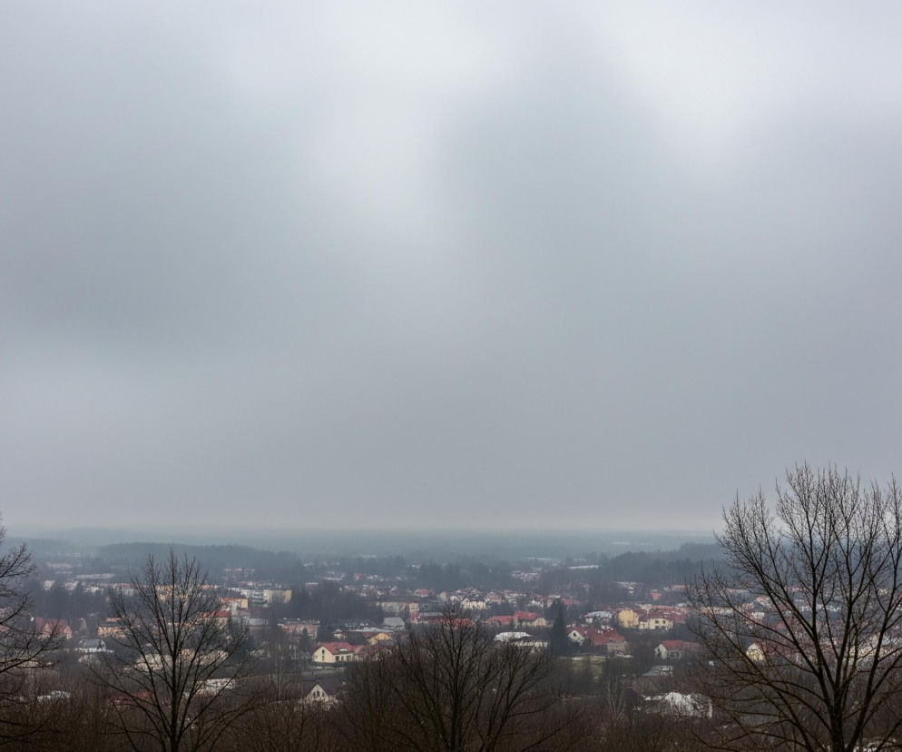 Poniżej dominuje rozległy widok na miasto z licznymi budynkami, z których większość ma czerwone lub pomarańczowe dachy, otoczone drzewami bez liści. Między miastem a odległym horyzontem widać pas ciemnego lasu, który zlewa się z mglistym pejzażem. Cała górna połowa obrazu zajęta jest przez jednolite, szare zachmurzone niebo, a po lewej i prawej stronie, w pierwszym planie, widać zarysy nagich drzew, których gałęzie rozciągają się ku górze.