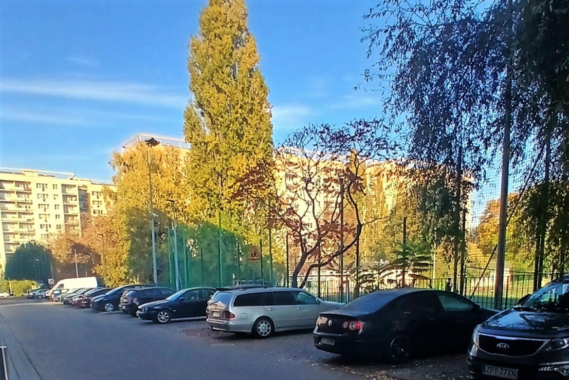 Przemoc na boisku szkoły w Szczecinie