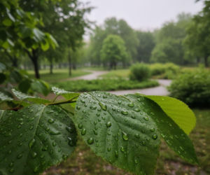 Weekend we Wrocławiu przyniesie ocieplenie. Termometry pokażą nawet 25 stopni