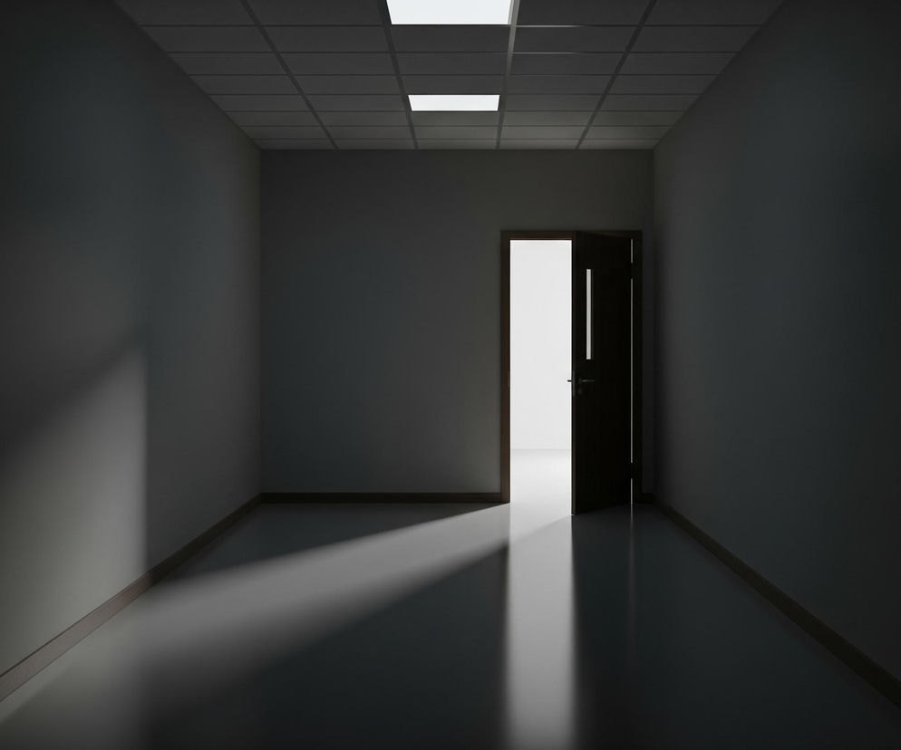 Długi, ciemny korytarz rozciąga się w głąb obrazu, z dwiema jasnymi, prostokątnymi lampami sufitowymi rozmieszczonymi w równej odległości. Pośrodku, na końcu korytarza, uchylone są ciemne drzwi, z których wydobywa się jasne, białe światło. To światło tworzy wyraźną, prostokątną smugę na podłodze korytarza oraz oświetla fragment lewej ściany, rzucając cień na dalszą część korytarza. Ściany i podłoga korytarza są w odcieniach szarości, a podłoga ma wyraźne drewniane listwy przypodłogowe.