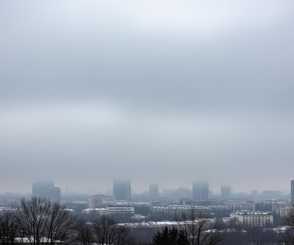 Mglisty, zimowy pejzaż miejski z perspektywy wzniesienia. Dominującym elementem jest jasnoszare, niemal jednolite niebo, które zajmuje ponad połowę górnej części kadru. Poniżej rozciąga się miejska panorama, z licznymi budynkami częściowo zakrytymi gęstą mgłą, co sprawia, że horyzont jest niewyraźny i rozmyty. Na pierwszym planie widoczne są nagie drzewa o ciemnych, cienkich gałęziach, kontrastujące z jasnym tłem. Dachy budynków oraz fragmenty terenu między nimi pokryte są cienką warstwą śniegu, co podkreśla zimową aurę.