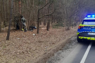 Śmiertelny wypadek na DK 62. Samochód roztrzaskał się o drzewo