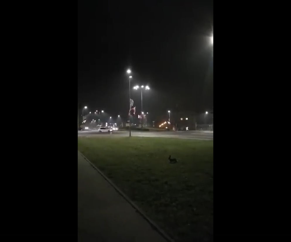 Idiotyczny popis kierowcy w Sosnowcu. Szybcy i Wściekli: Zagórze Drift