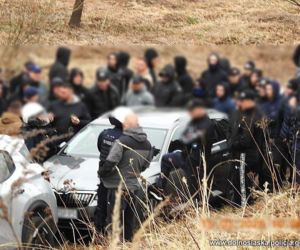 200 pseudokibiców miało wybrać się na grzyby. Chcieli zbierać je w rękawicach i kominiarkach! Zatrzymano 83 osoby